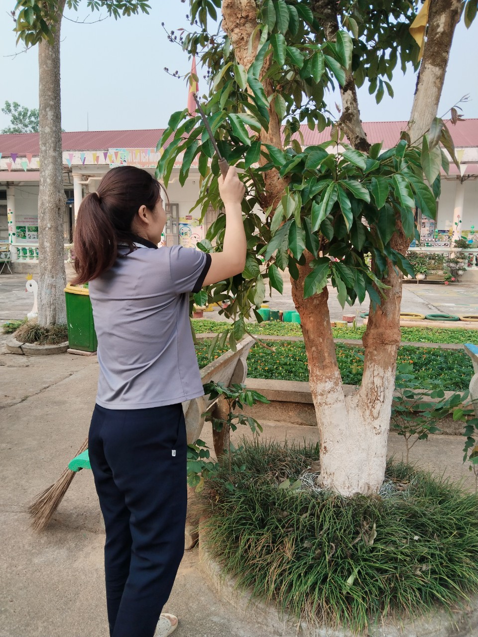 phát quang bui dậm